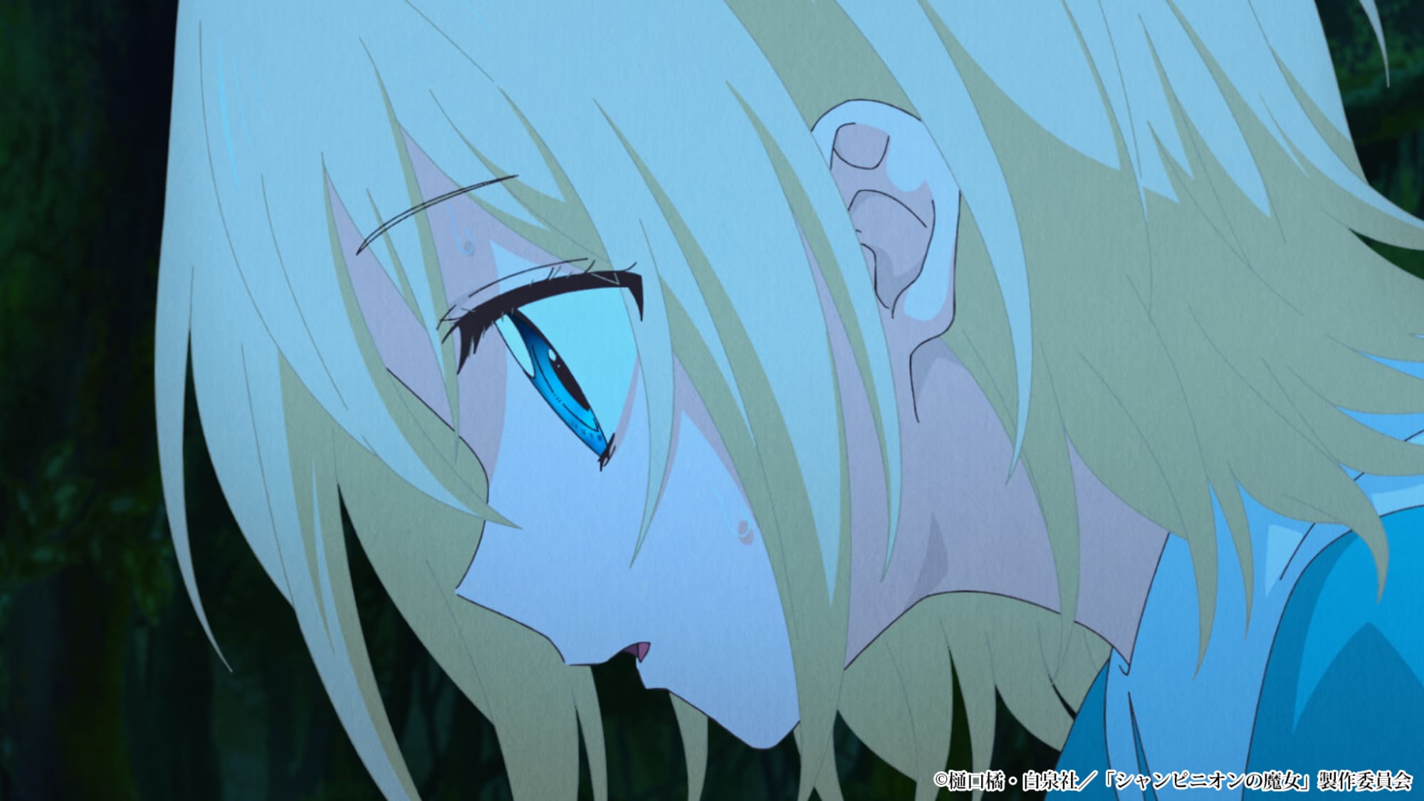 【第7話】シャンピニオンの魔女 7話 魔法日記