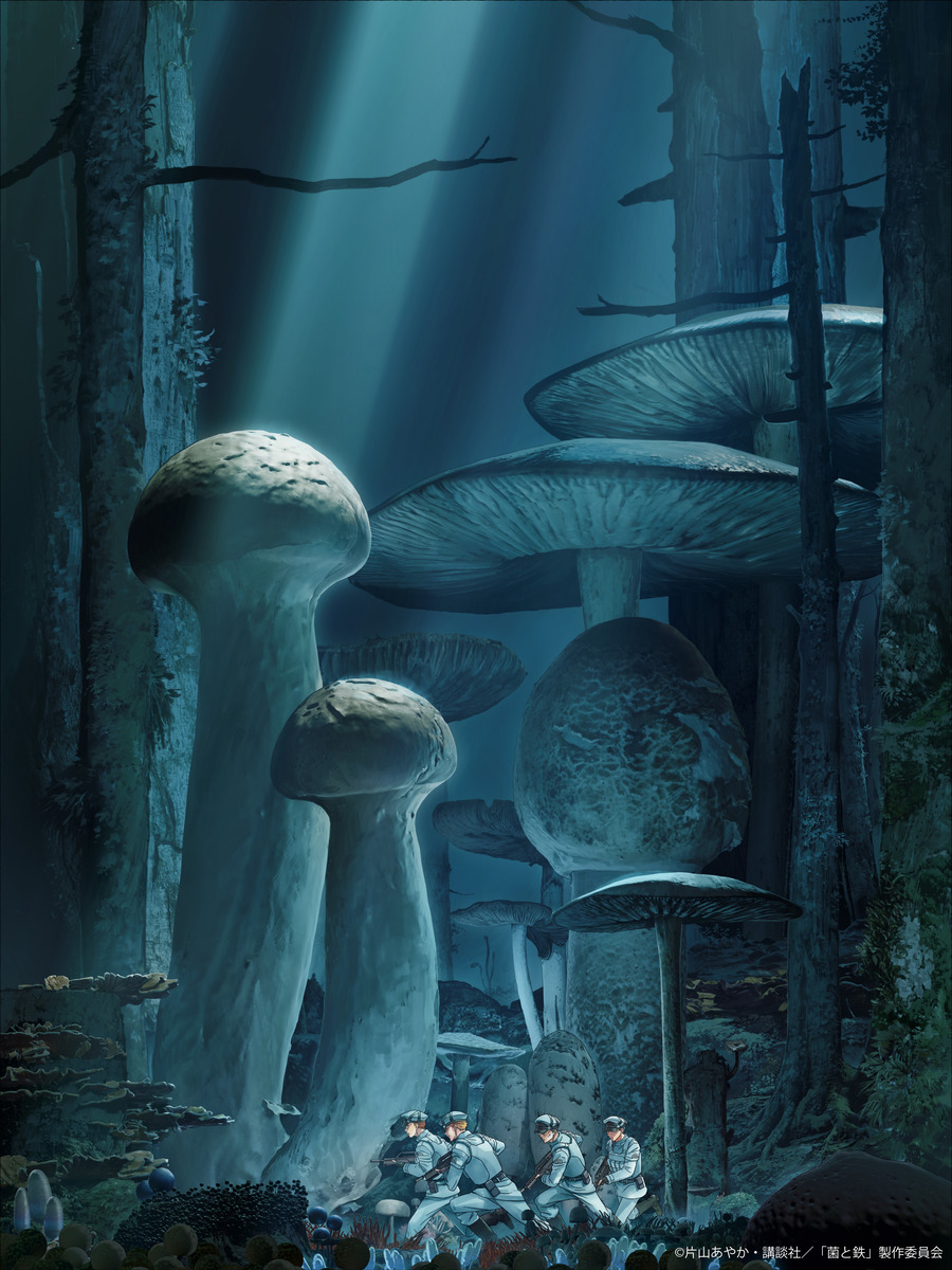 【第1期】菌と鉄