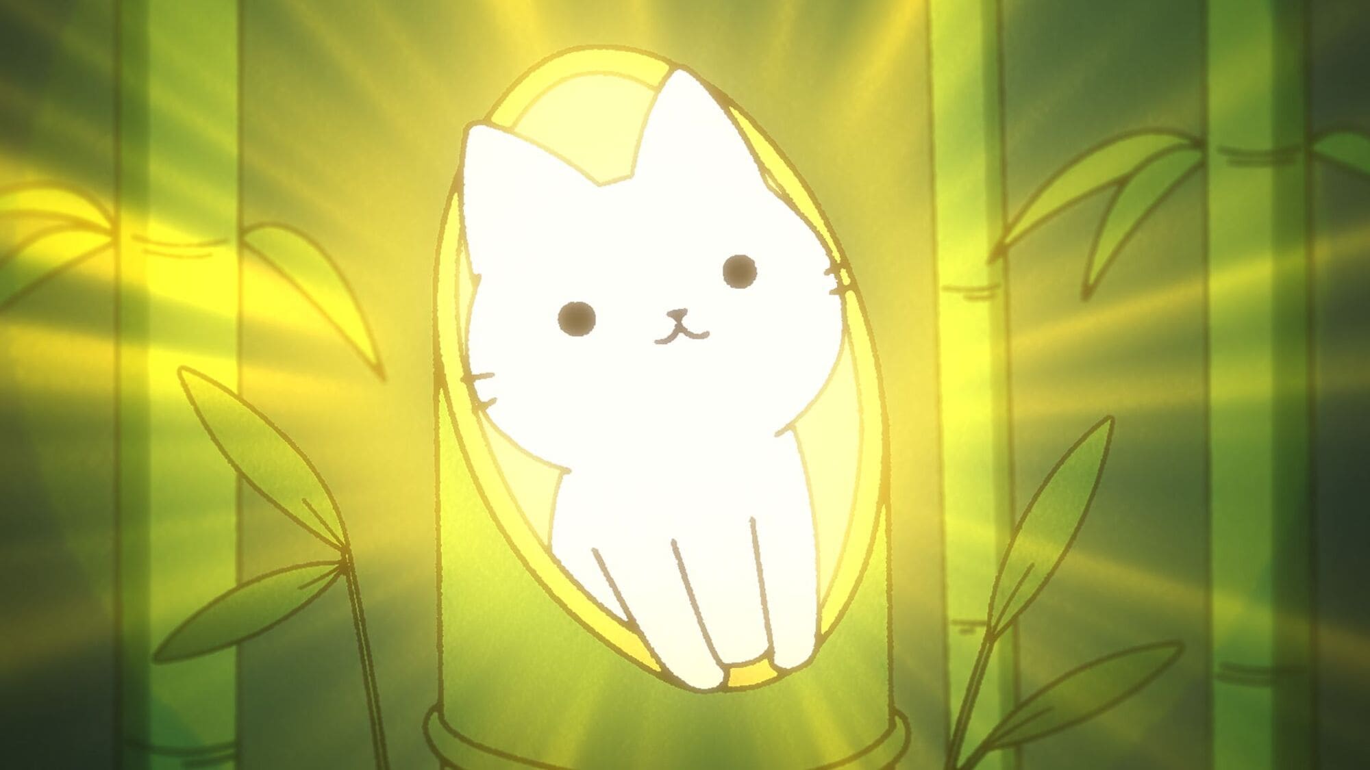 【第14話】うごく！ねこむかしばなし 14話 かぐやねこ