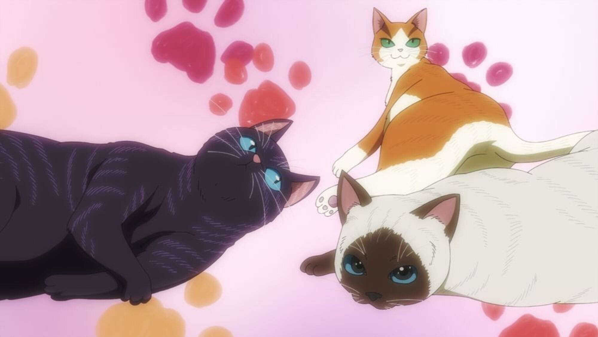 【第10話】ニャイト・オブ・ザ・リビングキャット 10話 ノルウェージャンヌ・ダルク