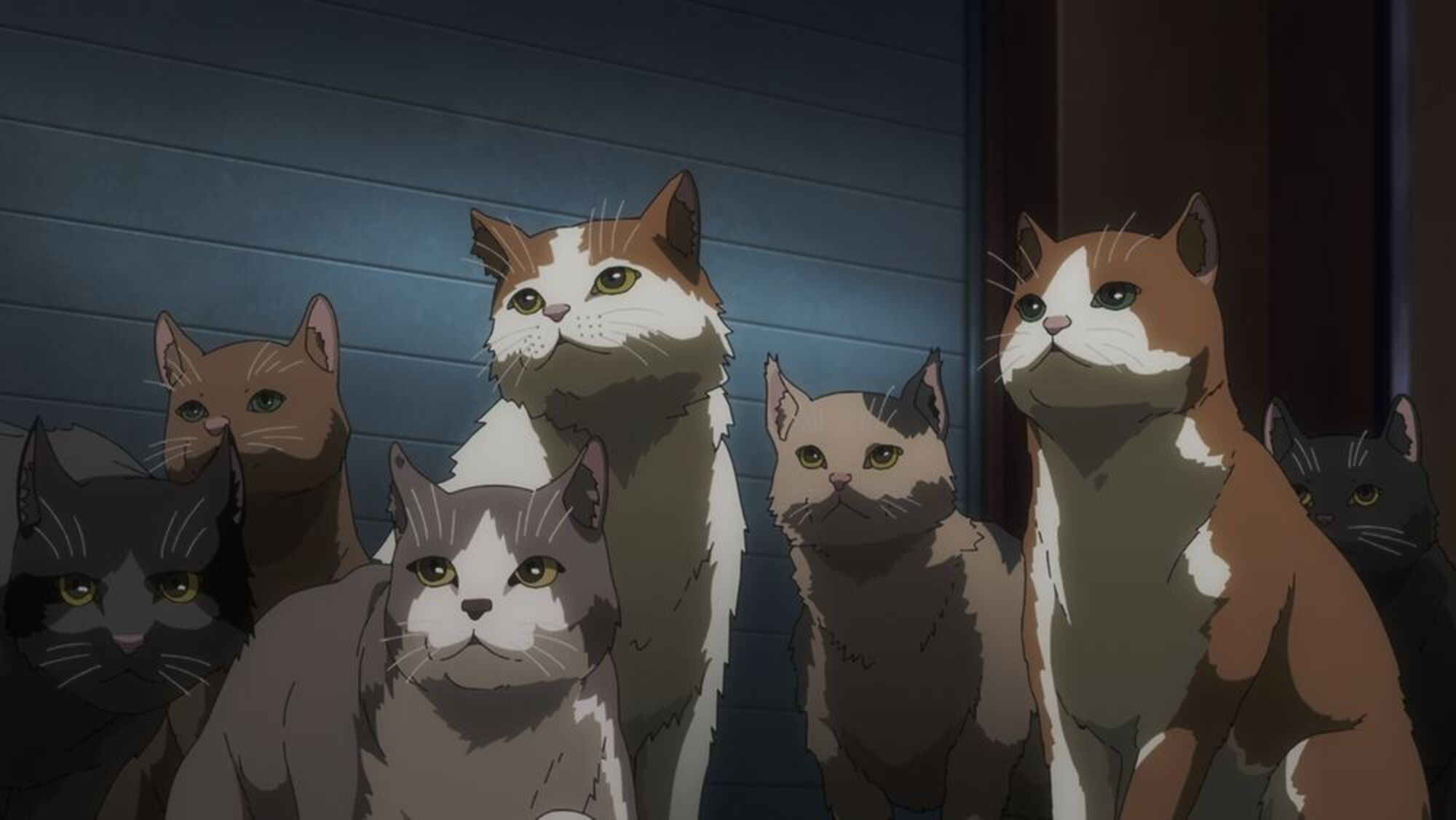 【第7話】ニャイト・オブ・ザ・リビングキャット 7話 遊星からの猫D-REX