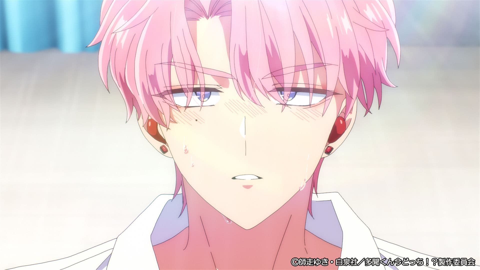 大注目！「多聞くん今どっち！？」TVアニメの魅力に迫る