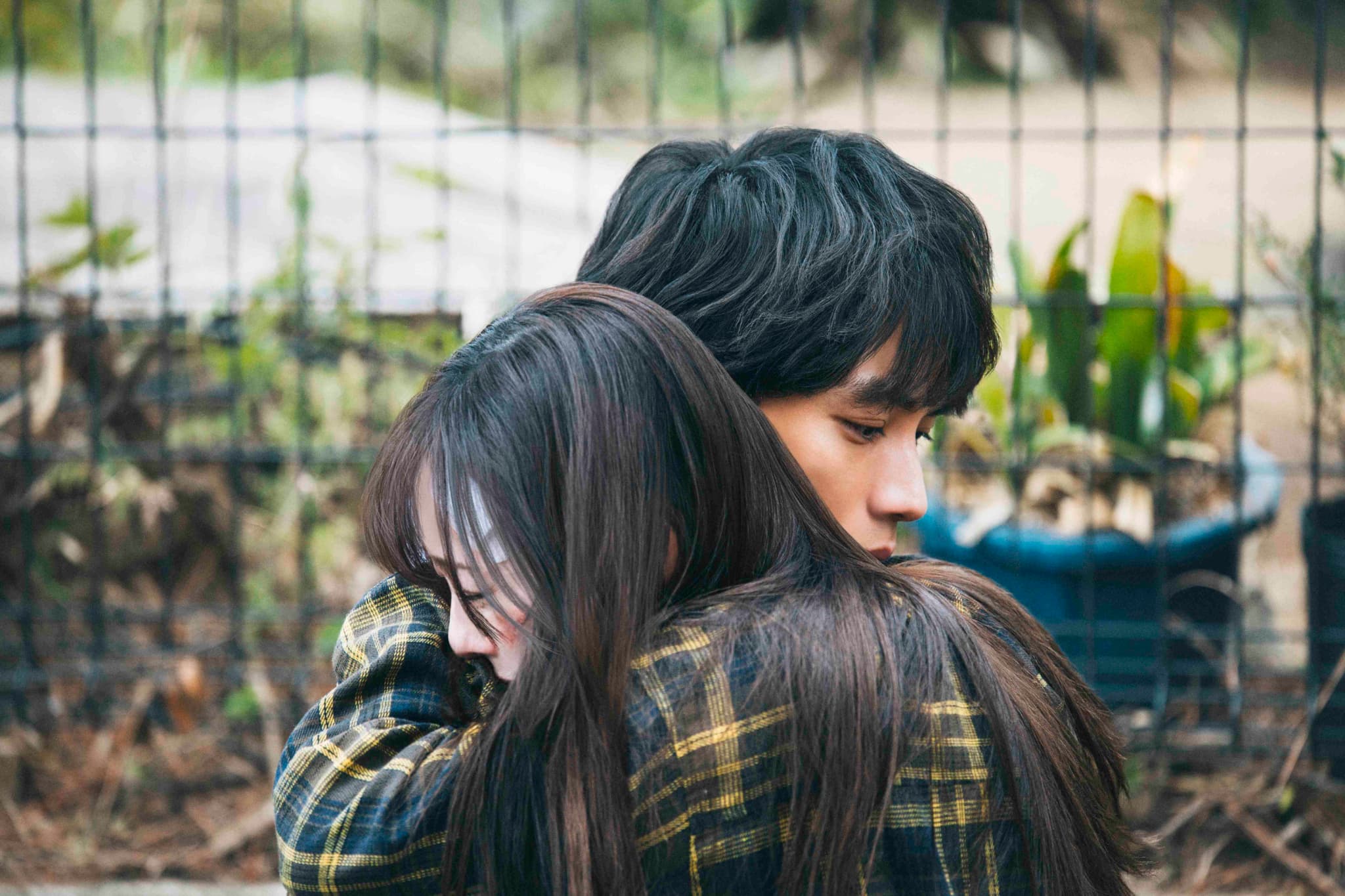 福士蒼汰×福原遥主演 映画『楓』ファイナル予告映像公開